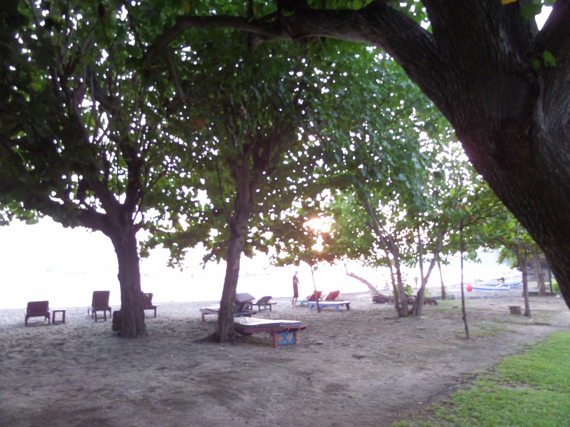 Taman Selini Wahana Beach Resort Pemuteran Εξωτερικό φωτογραφία