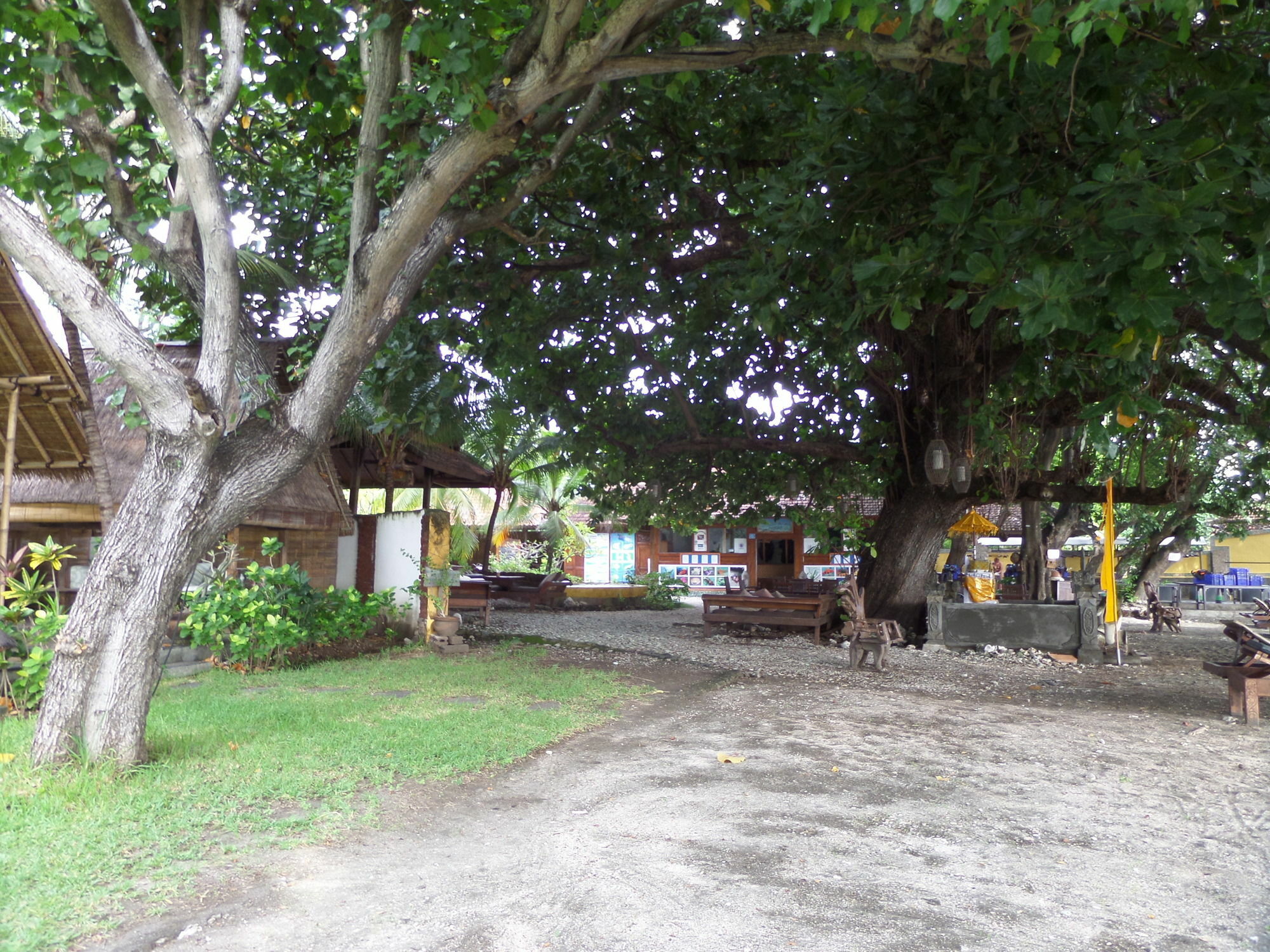 Taman Selini Wahana Beach Resort Pemuteran Εξωτερικό φωτογραφία