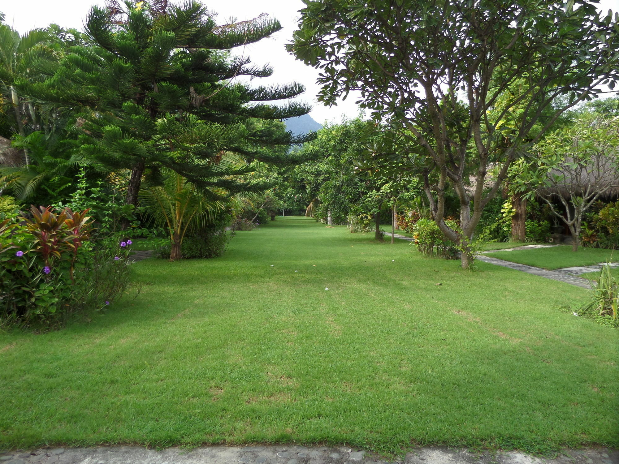 Taman Selini Wahana Beach Resort Pemuteran Εξωτερικό φωτογραφία
