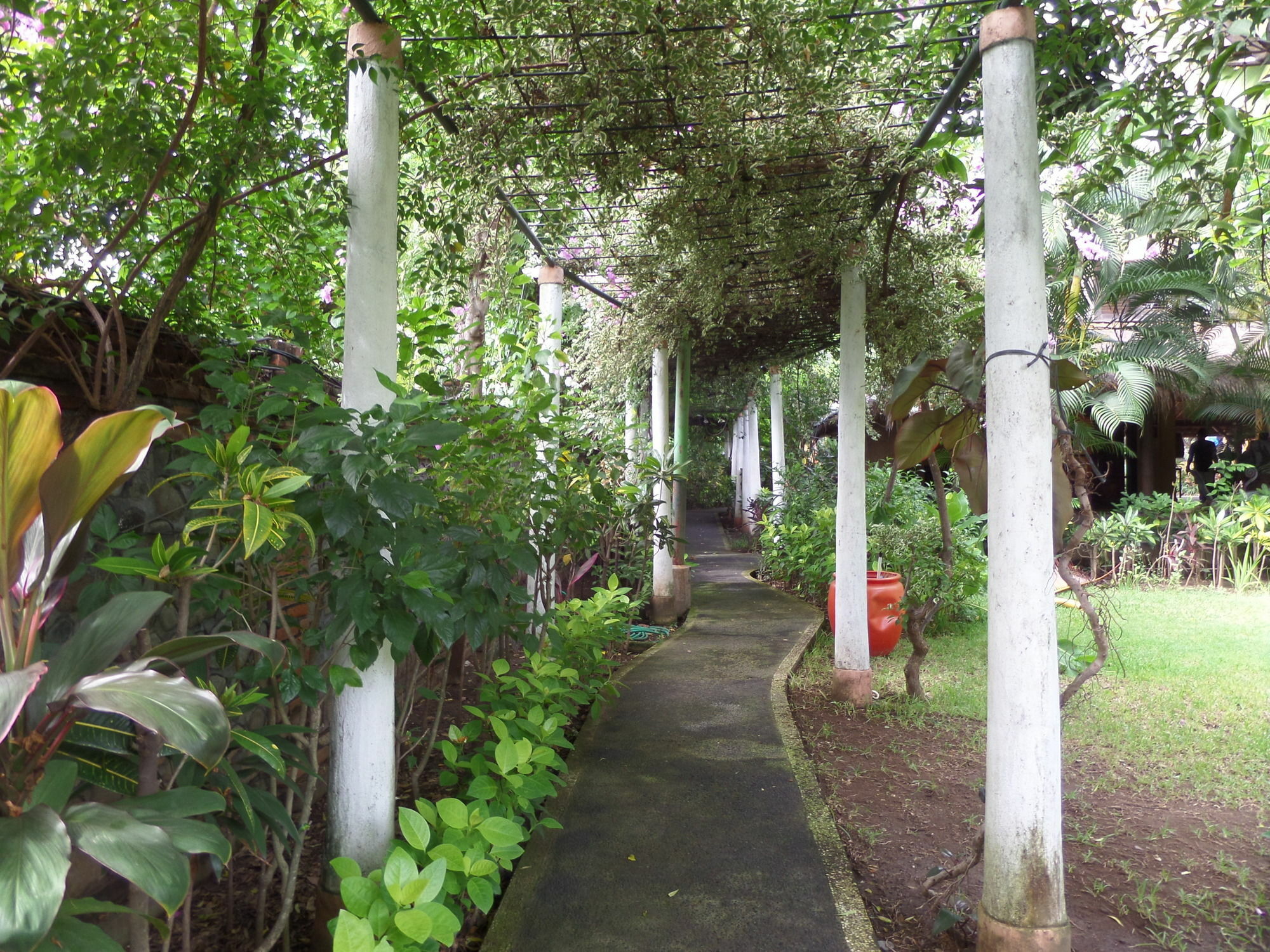 Taman Selini Wahana Beach Resort Pemuteran Εξωτερικό φωτογραφία