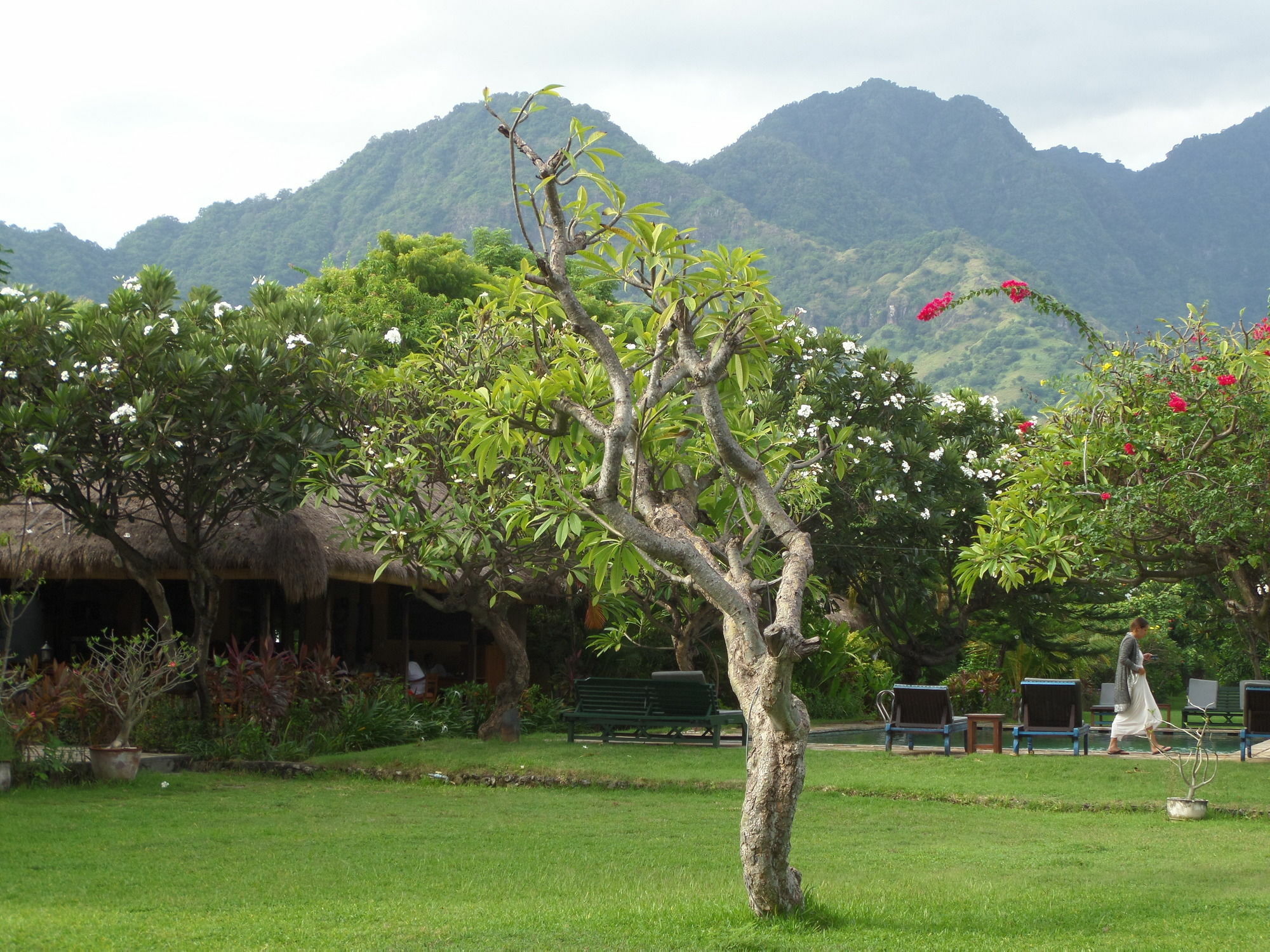 Taman Selini Wahana Beach Resort Pemuteran Εξωτερικό φωτογραφία